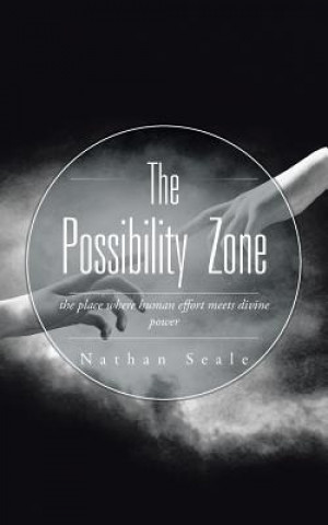 Knjiga Possibility Zone Nathan Seale