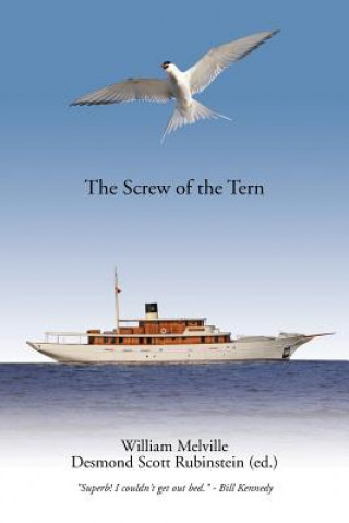 Книга Screw of the Tern Desmond Scott Rubinstein