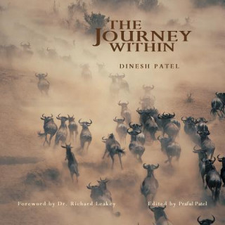Buch Journey Within Dinesh Patel