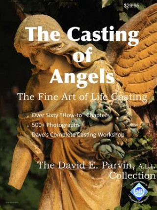 Kniha Casting of Angels Davin E Parvin