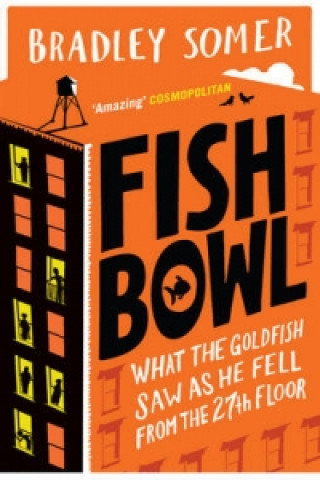 Könyv Fishbowl Bradley Somer
