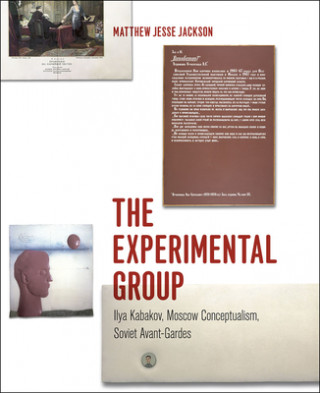 Kniha Experimental Group Matthew Jesse Jackson