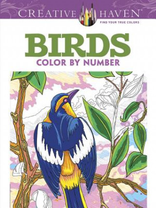 Book Creative Haven Birds Color by Number Coloring Book George Toufexis