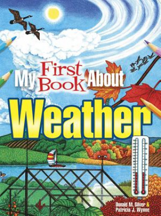 Kniha My First Book About Weather Patricia J. Wynne