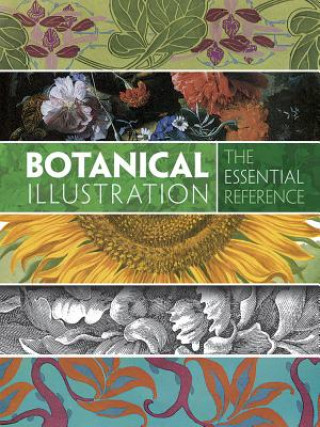 Kniha Botanical Illustration: The Essential Reference Carol Belanger Grafton