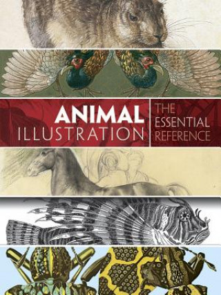 Książka Animal Illustration: The Essential Reference Carol Belanger Grafton