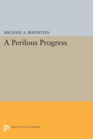 Kniha Perilous Progress Michael A. Bernstein