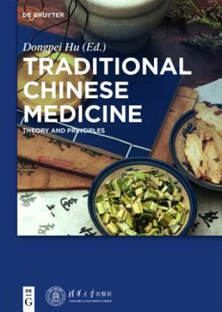 Kniha Traditional Chinese Medicine Dongpei Hu