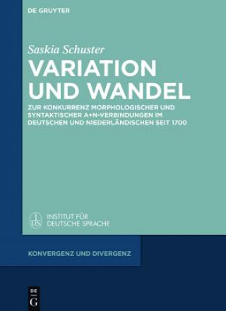 Kniha Variation und Wandel Saskia Schuster
