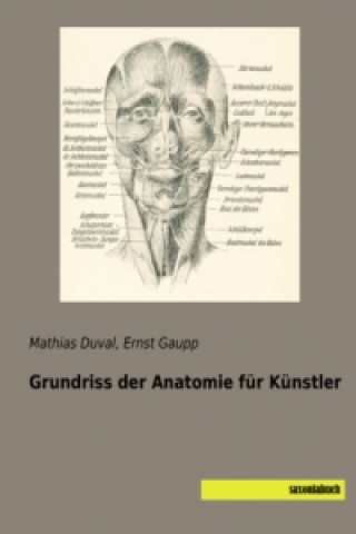 Kniha Grundriss der Anatomie für Künstler Mathias Duval