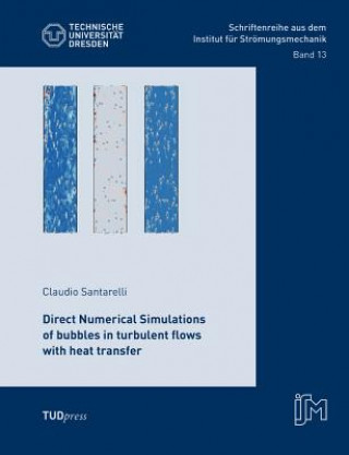 Kniha Direct Numerical Simulations of bubbles in turbulent flows with heat transfer Claudio Santarelli