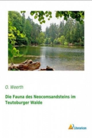 Buch Die Fauna des Neocomsandsteins im Teutoburger Walde O. Weerth