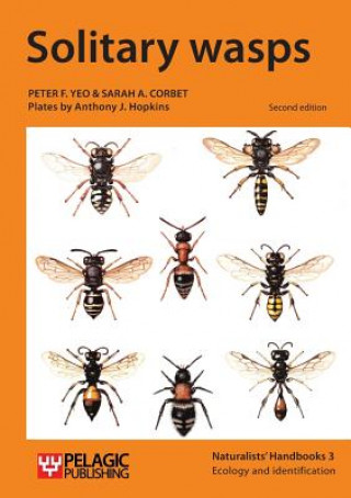 Kniha Solitary wasps Peter F. Yeo
