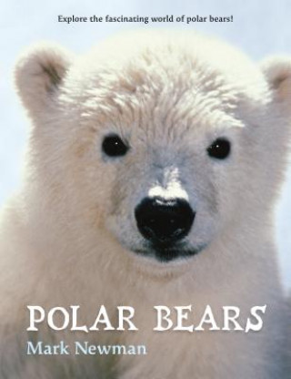 Carte Polar Bears Mark Newman
