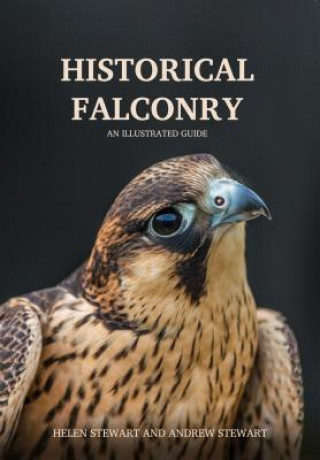 Könyv Historical Falconry Helen Rowlands