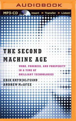Könyv Second Machine Age Erik Brynjolfsson