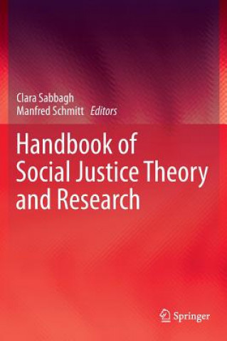 Kniha Handbook of Social Justice Theory and Research Clara Sabbagh