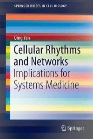 Kniha Cellular Rhythms and Networks Qing Yan