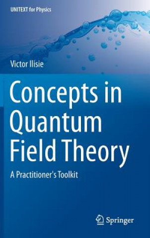 Könyv Concepts in Quantum Field Theory Victor Ilisie