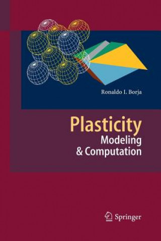 Knjiga Plasticity Ronaldo I. Borja