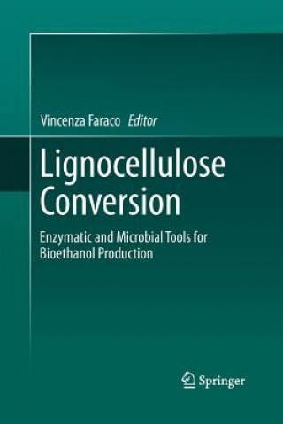 Libro Lignocellulose Conversion Vincenza Faraco