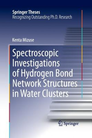 Könyv Spectroscopic Investigations of Hydrogen Bond Network Structures in Water Clusters Kenta Mizuse