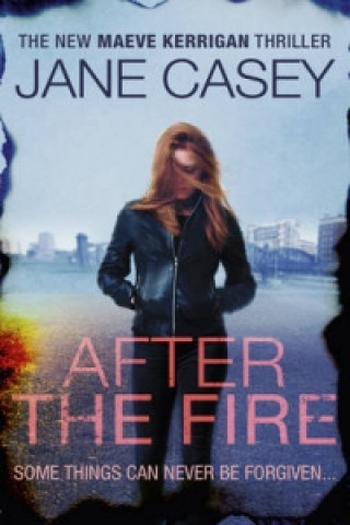 Buch After the Fire Jane Casey