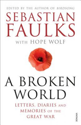 Buch Broken World 