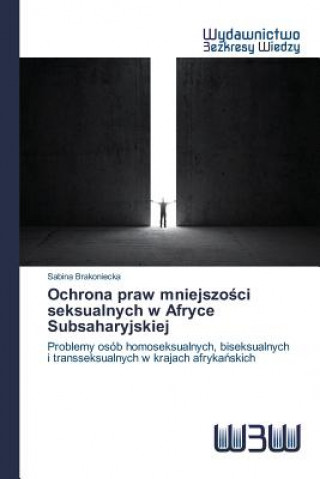 Book Ochrona praw mniejszo&#347;ci seksualnych w Afryce Subsaharyjskiej Brakoniecka Sabina