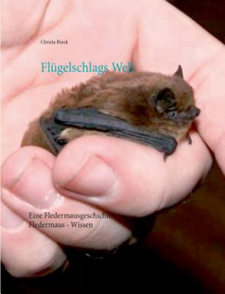 Kniha Flugelschlags Welt Christa Rieck