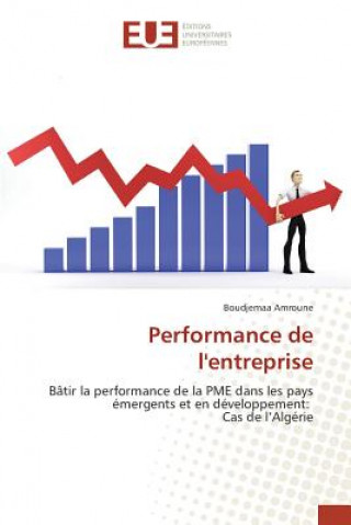 Kniha Performance de l'Entreprise Amroune-B