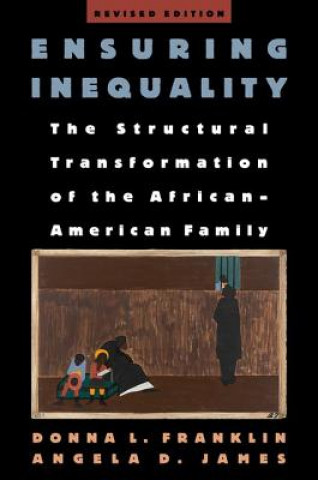 Βιβλίο Ensuring Inequality Donna L. Franklin