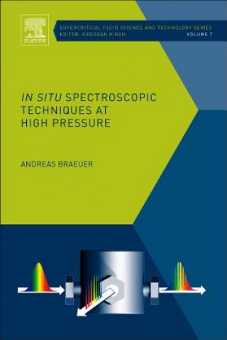 Kniha In situ Spectroscopic Techniques at High Pressure Andreas Braeuer