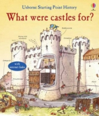 Kniha What Were Castles For? Phil Roxbee Cox