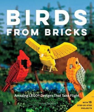 Kniha Birds from Bricks Thomas Poulsom
