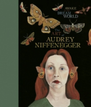 Könyv Awake in the Dream World Audrey Niffenegger