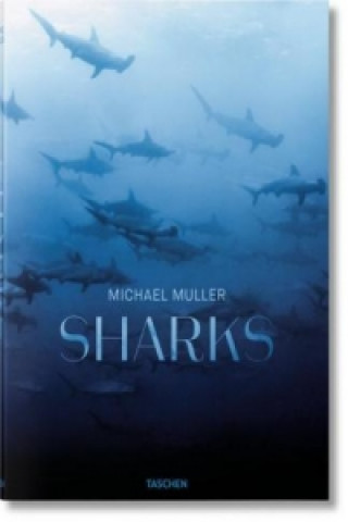 Könyv Michael Muller. Haie Philippe Cousteau