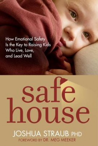 Buch Safe House Joshua Straub