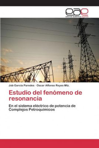 Buch Estudio del fenomeno de resonancia Garcia Paredes Job