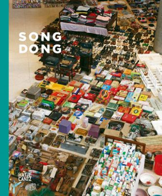 Kniha Song Dong Feng Boyi