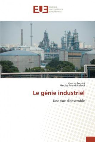 Kniha Le Genie Industriel 