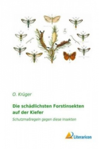Kniha Die schädlichsten Forstinsekten auf der Kiefer O. Krüger
