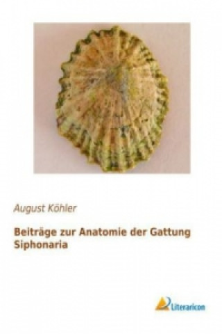 Könyv Beiträge zur Anatomie der Gattung Siphonaria August Köhler