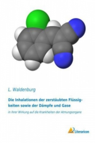 Carte Die Inhalationen der zerstäubten Flüssigkeiten sowie der Dämpfe und Gase L. Waldenburg