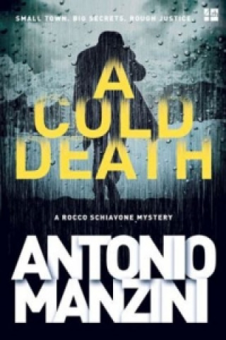 Book Cold Death Antonio Manzini