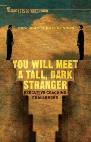 Könyv You Will Meet a Tall, Dark Stranger Manfred F R Kets de Vries