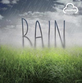 Livre Rain Harriet Brundle