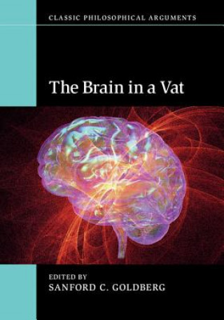 Knjiga Brain in a Vat Sanford C. Goldberg