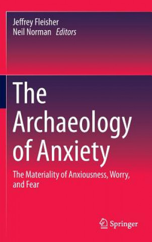 Kniha Archaeology of Anxiety Jeffrey Fleisher