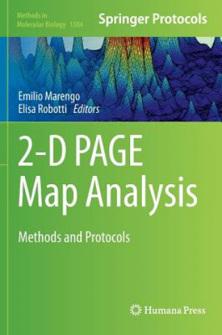 Carte 2-D PAGE Map Analysis Elisa Robotti